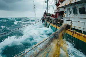 MALTEMPO: FEDAGRIPESCA, DL IMPORTANTE MA RISORSE RISCHIANO DI NON BASTARE; SOSTEGNO AL REDDITO ANCHE PER LAVORATORI DELLA PESCA